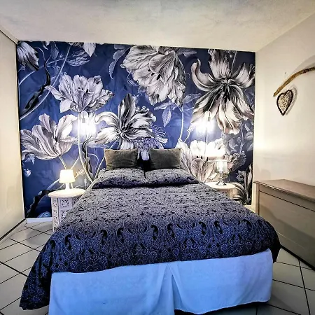 La Bulle Bleue - Parking-Terrasse-Aeoport-Meet Apartment Blagnac Exterior photo